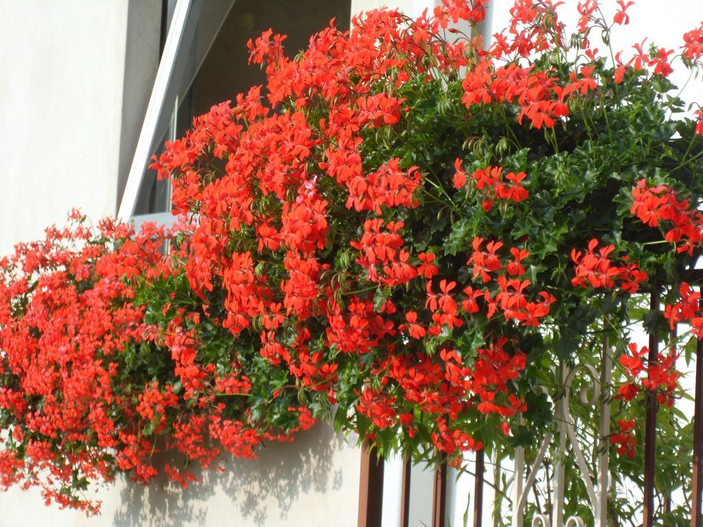 Albergo Ristorante Regina San Lorenzo  Exterior foto